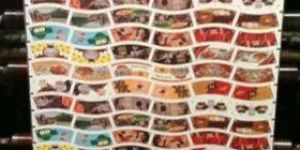 PE Coated Paper Cup Blank