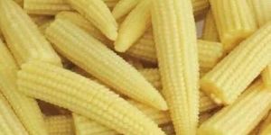 Frozen Baby Corn
