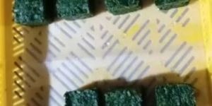 Frozen Spinach Cubes