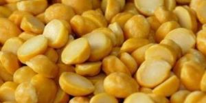 Chana Dal, Gram Pulse