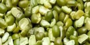 Green Moong Dal Split, Moong Pulse