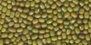 Green Moong Dal Whole, Moong Pulse