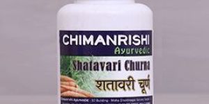 Shatavari Churna