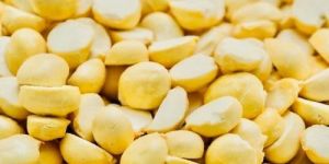 Organic Roasted Gram