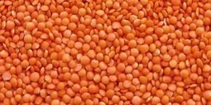 Organic Split Masoor Dal