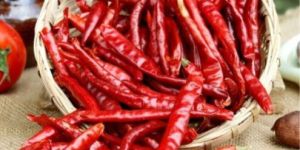 Natural Dried Red Chilli