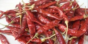 Whole Dried Red Chilli