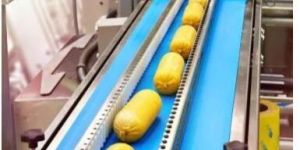 Flat Belt Conveyor