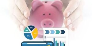 Software Customization Services