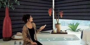 Motorized Venetian Blind