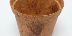 Coco Fiber Spanish Cup