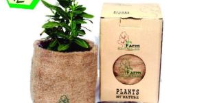 PMN Jute Bag Kit ( Regular )