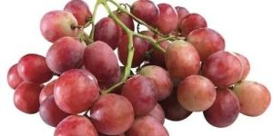 Red Globe Grapes