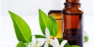 Neroli Oil