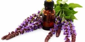 Sage Essential Oil