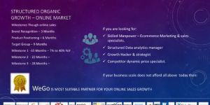 E Commerce Consulting Services