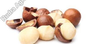 Raw Macadamia Nuts Seeds