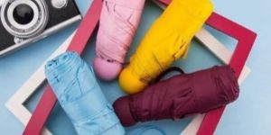 Beautiful Colours Design Stylish Umbrella