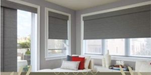 Vertical Window Blinds