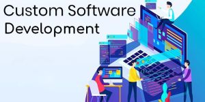 Custom Software Development Services