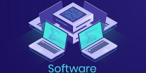 Software Maintenance & Support Services