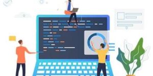 Software Architect Consultant