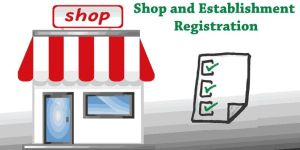 Shop & Establishment Registration Service