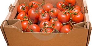 Tomato Packaging Boxes