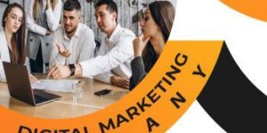 Professional Seo Service