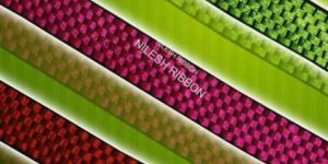 Silk Fancy Lace Border