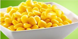 Organic Sweet Corn