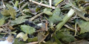 Passiflora Incarnata