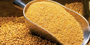 Soyabean Meal