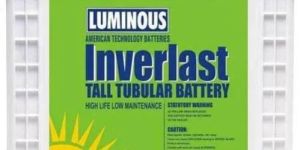 Tall Tubular Battery