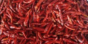 Dried Red Chilli