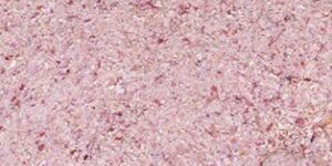 Dehydrated Pink Onion Granules
