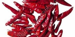 Whole Red Chilli