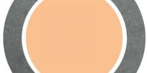 Circular Blank Type Shim