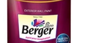 Berger Epoxy Paint