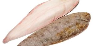 Frozen Sole Fish