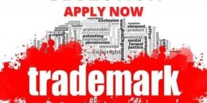 Trademark Objection Service