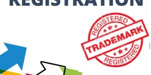 Trademark Registration Service