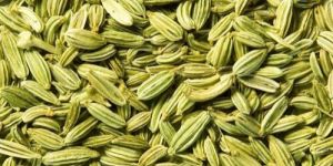 Fennel Seed
