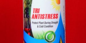 Tri Antistress