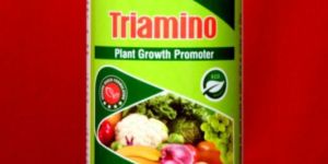 Triamino Organic