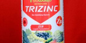 Trizinc Zn Liquid