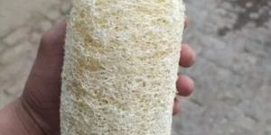 Natural Loofah