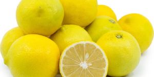 Fresh Yellow Lemon