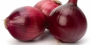 Fresh Onion