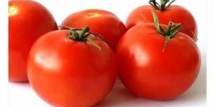 Fresh Tomato